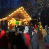 12 a Waldweihnacht